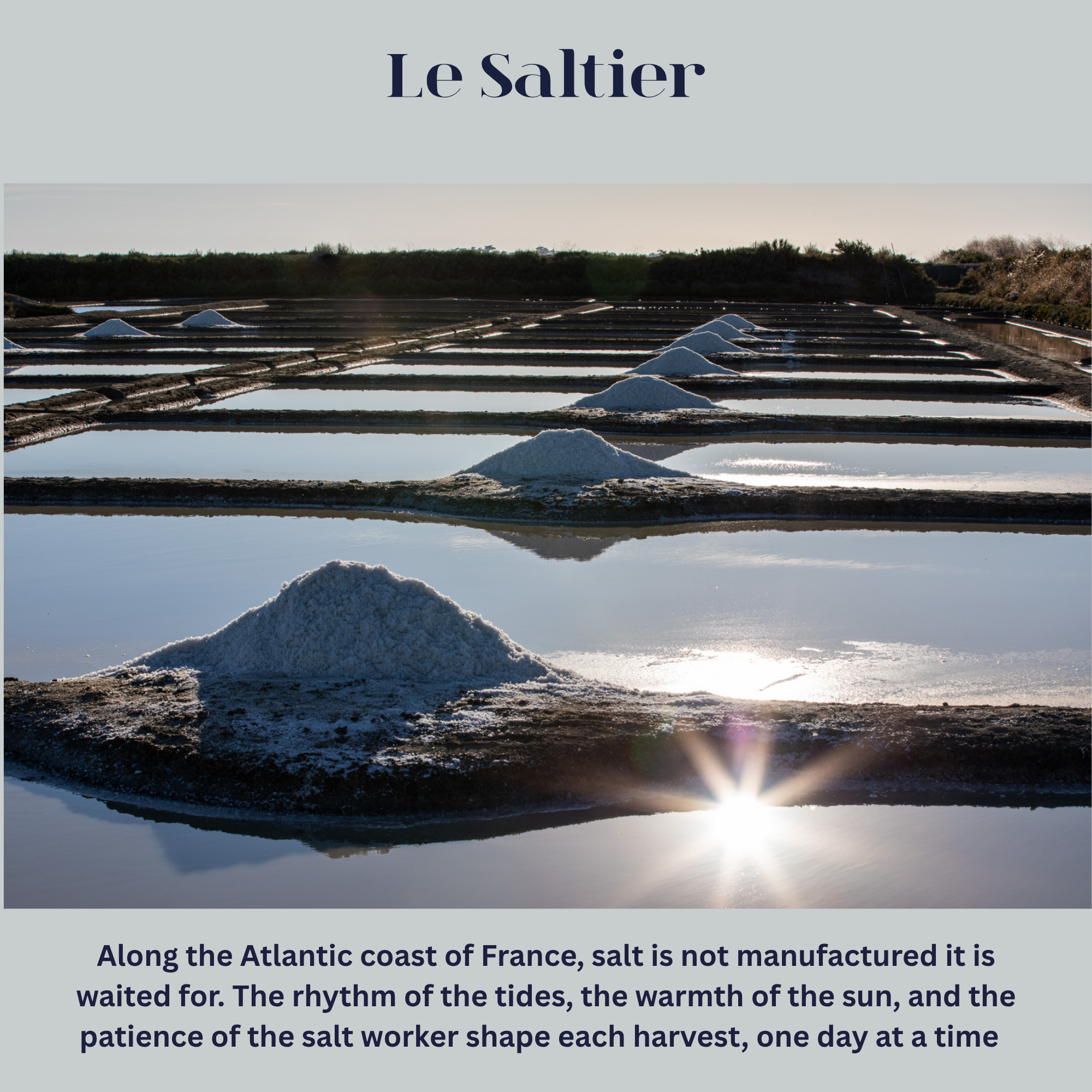 Coarse Grey Celtic Salt